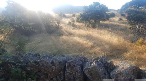 Photo 2 of Country house for sale in Las Vegas - El Pozanco - Adelfillas, Madrid