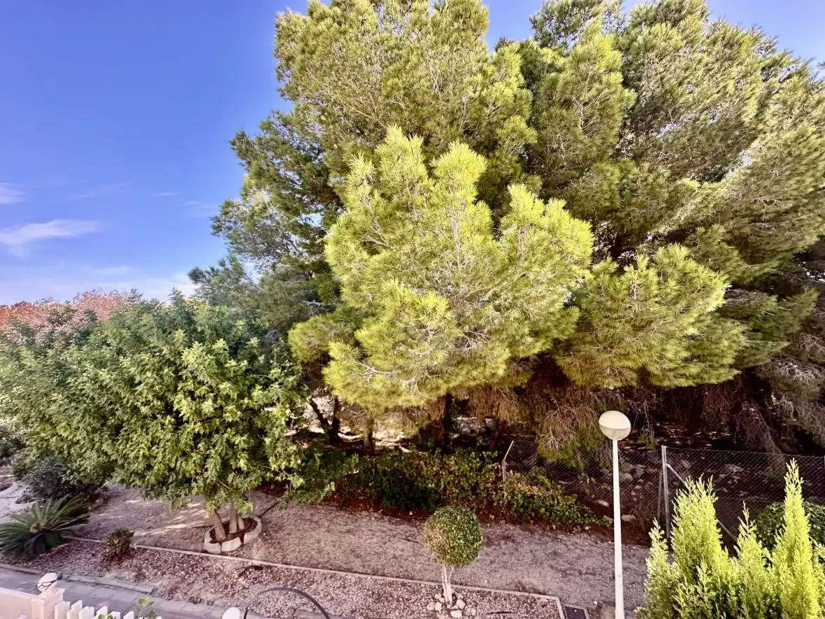 Jardín de Casa o chalet en venta en Santa Pola con Calefacción, Terraza y Piscina