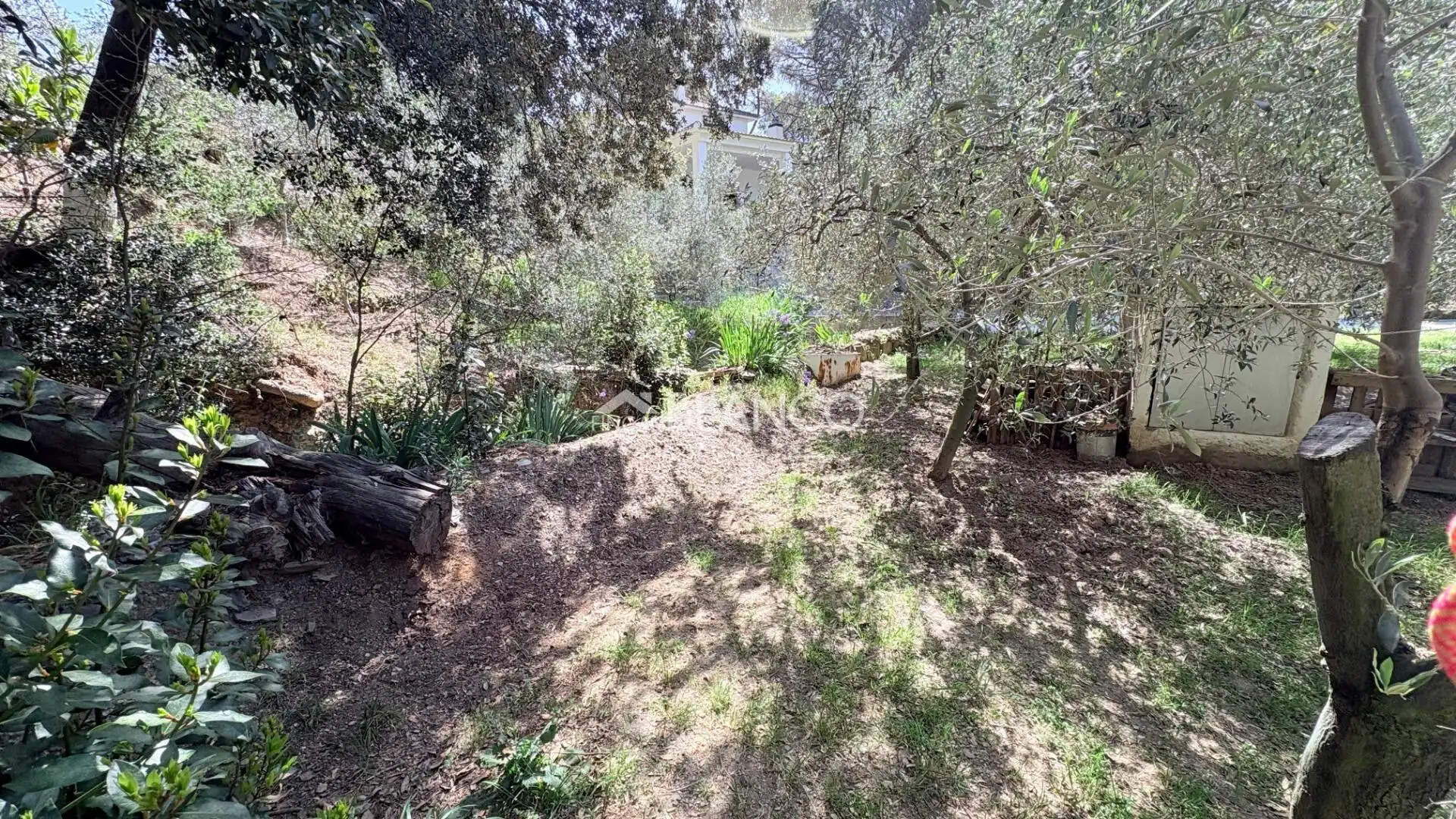 Casa o xalet en venda en Piera amb Jardí privat