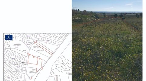 Terreno en venta en Casarrubios del Monte45950, imatge 3