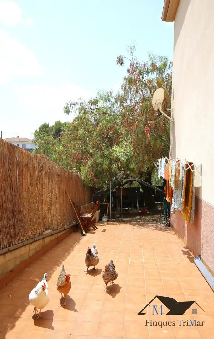 Chalet con piscina en venta en Els Hostalets de Pierola, imagen 31