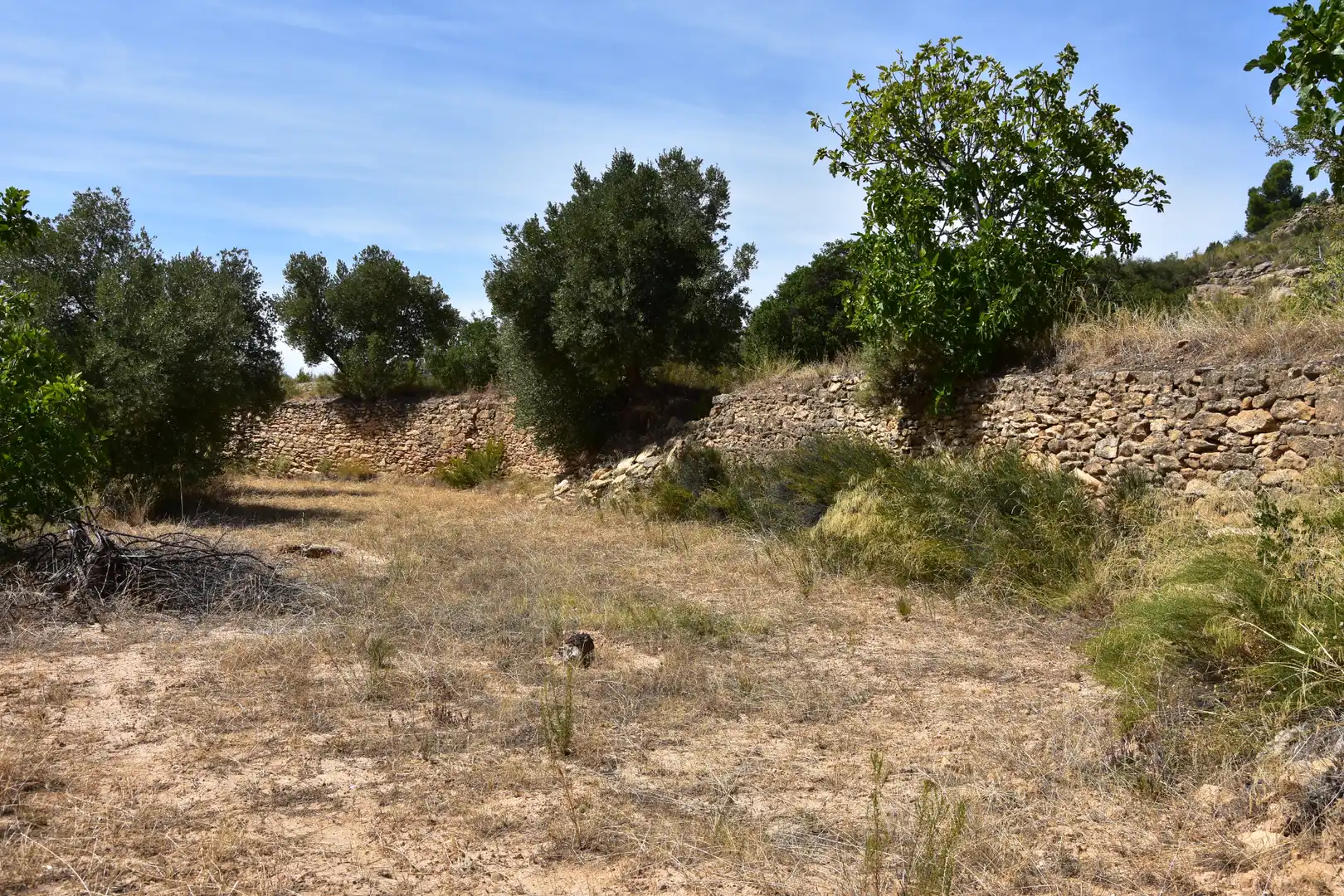 Terreni e lotti in vendita a Valdealgorfa, imagen 5