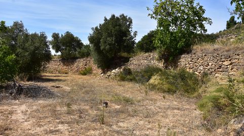 Finca rústica con maset en Valdealgorfa, immagine 5