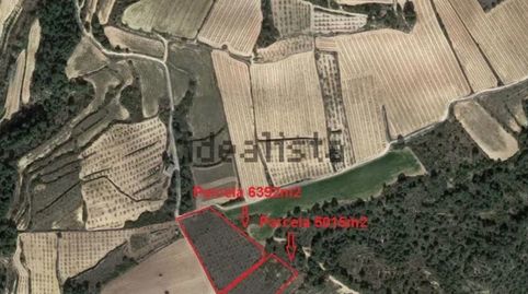 Magnifica parcela de 11.500m2, immagine 3