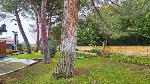 OPORTUNIDAD EN SANZ. Preciosa finca de recreo en Lardero, imagen 4
