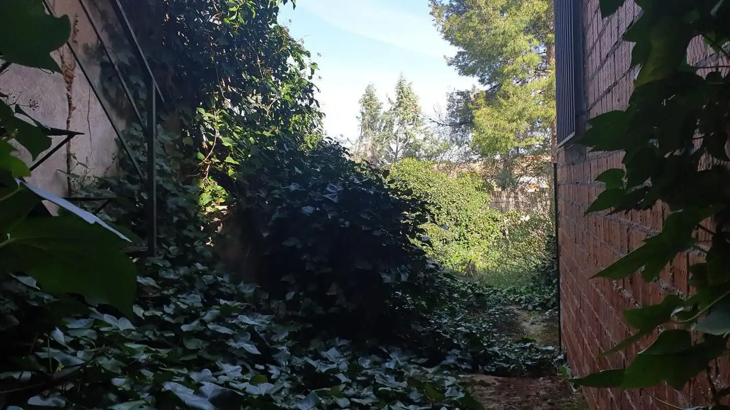 Jardí de Casa o xalet en venda en Los Hinojosos  