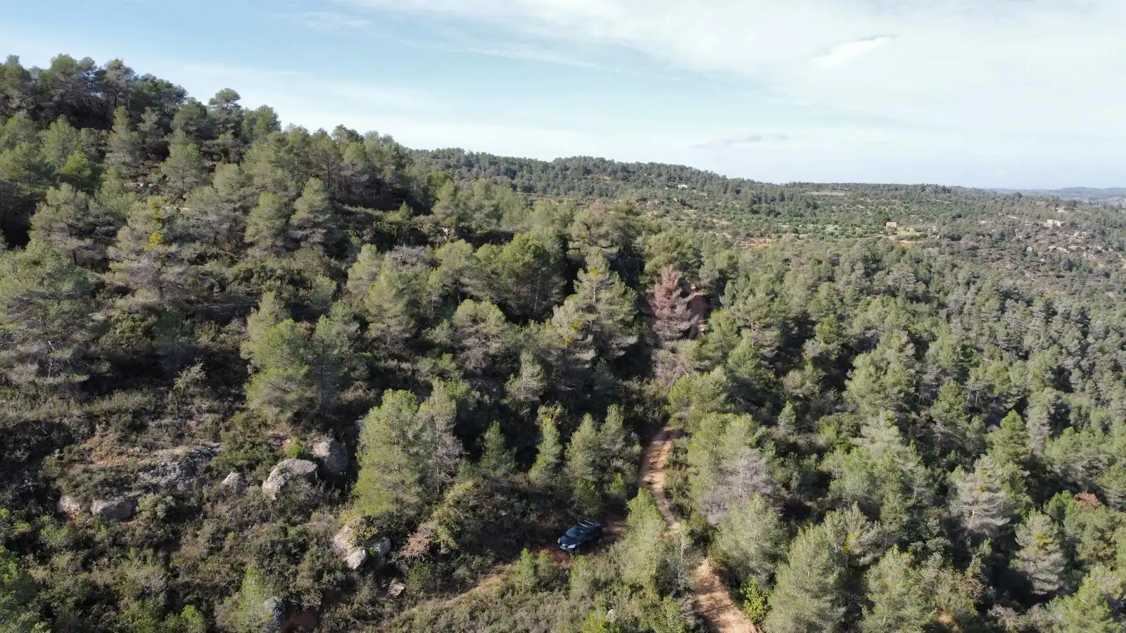 Terreno rustico in vendita a Cervià de Les Garrigues, imagen 12