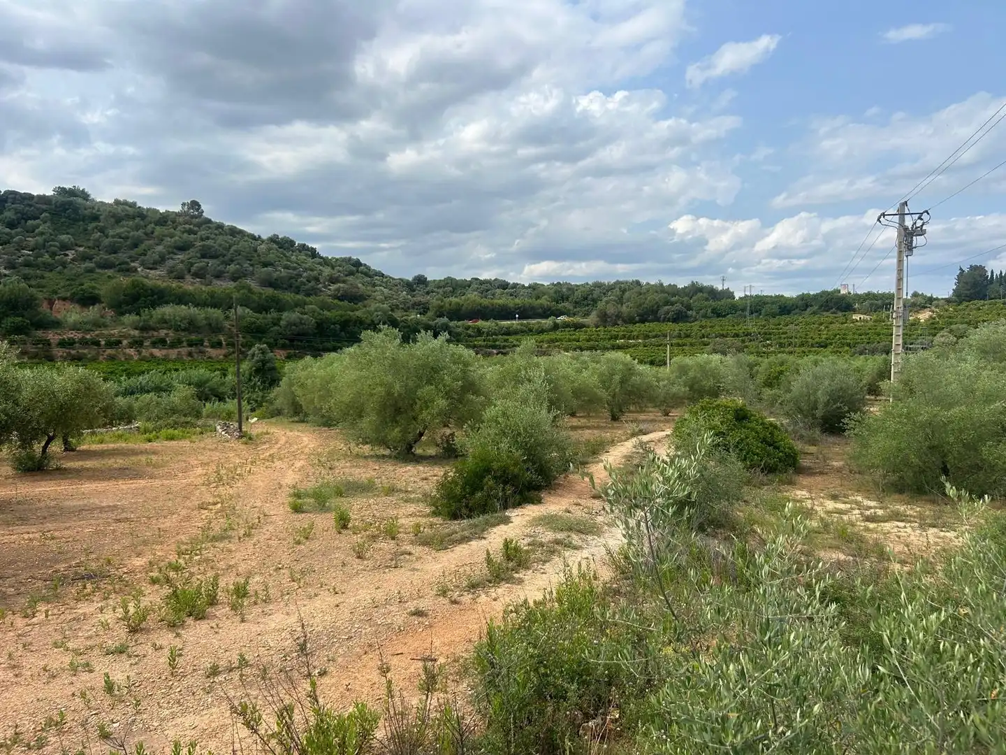 Terreno rustico in vendita a Freginals, imagen 3
