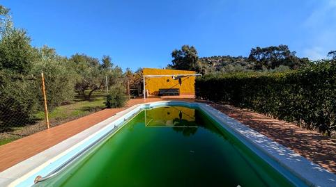 Foto 3 de Finca rústica en venta en Piedra Rodadera, Centro ciudad, Jaén