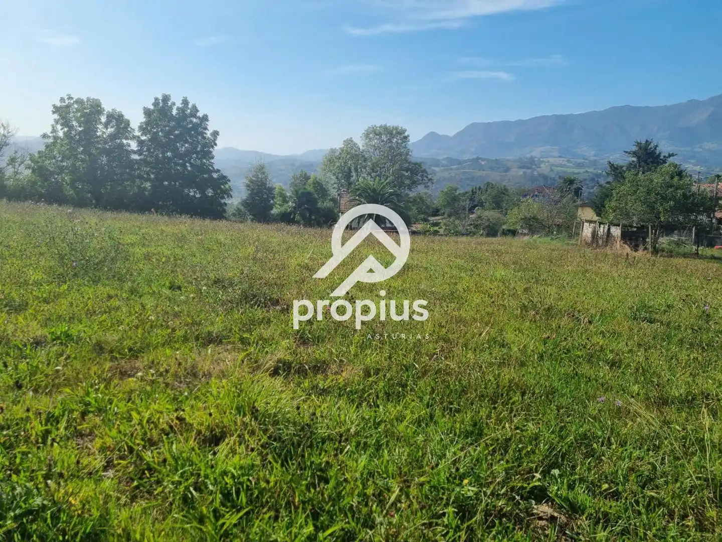 Rural land for sale in Arenas, imagen 14