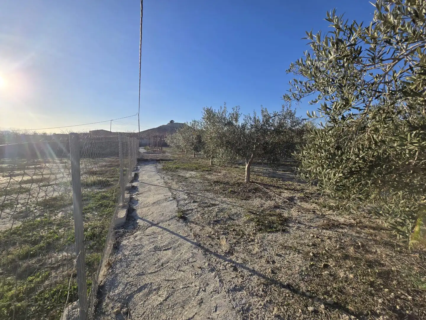 Casa o xalet en venda en Alguazas amb Jardí privat i Piscina comunitària