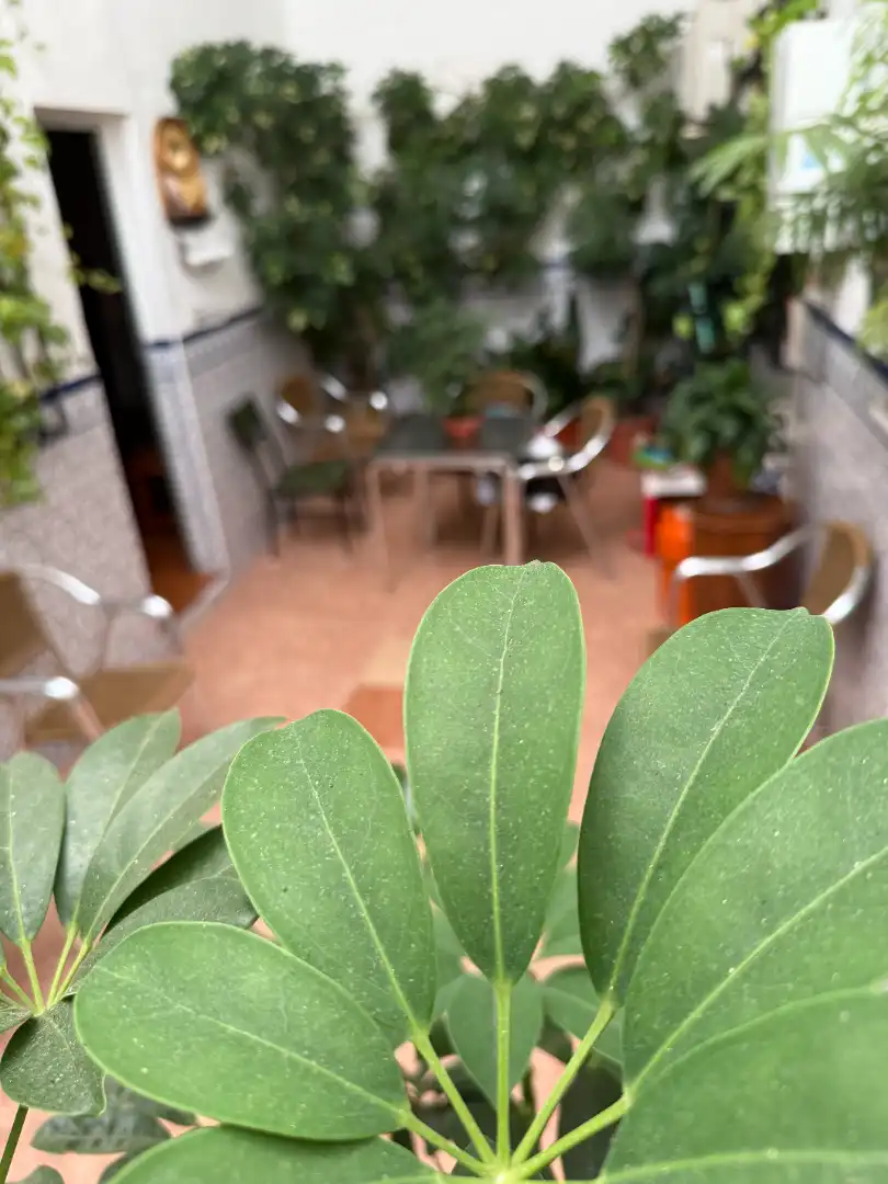 Adosado con terraza en venta en Calle Padre Talavera, imagen 18