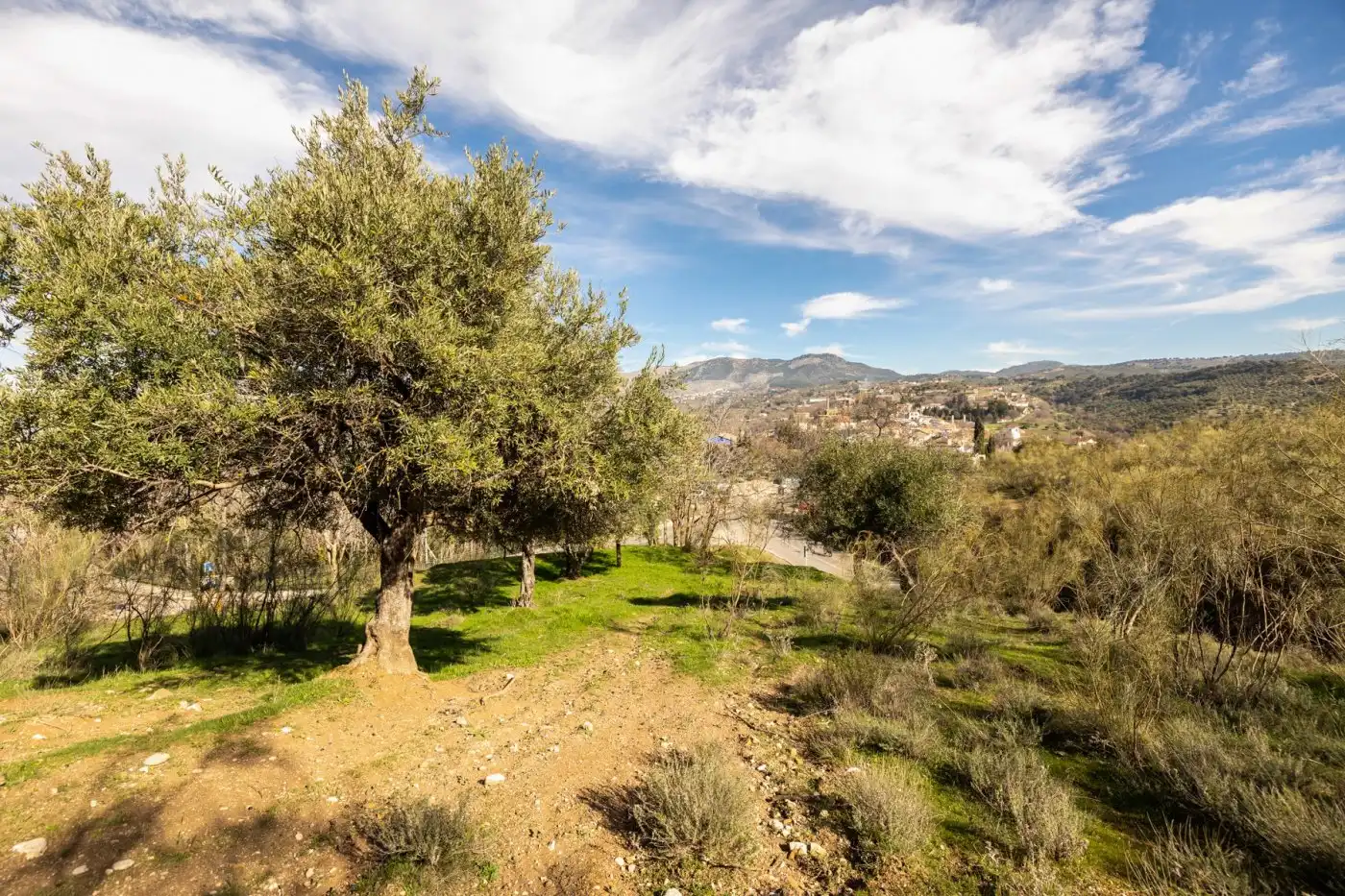 Maison rustique à vendre à Albaicín, imagen 9