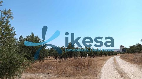 VENTA DE FINCA RÚSTICA EN JÓDAR JAÉN, imagen 2