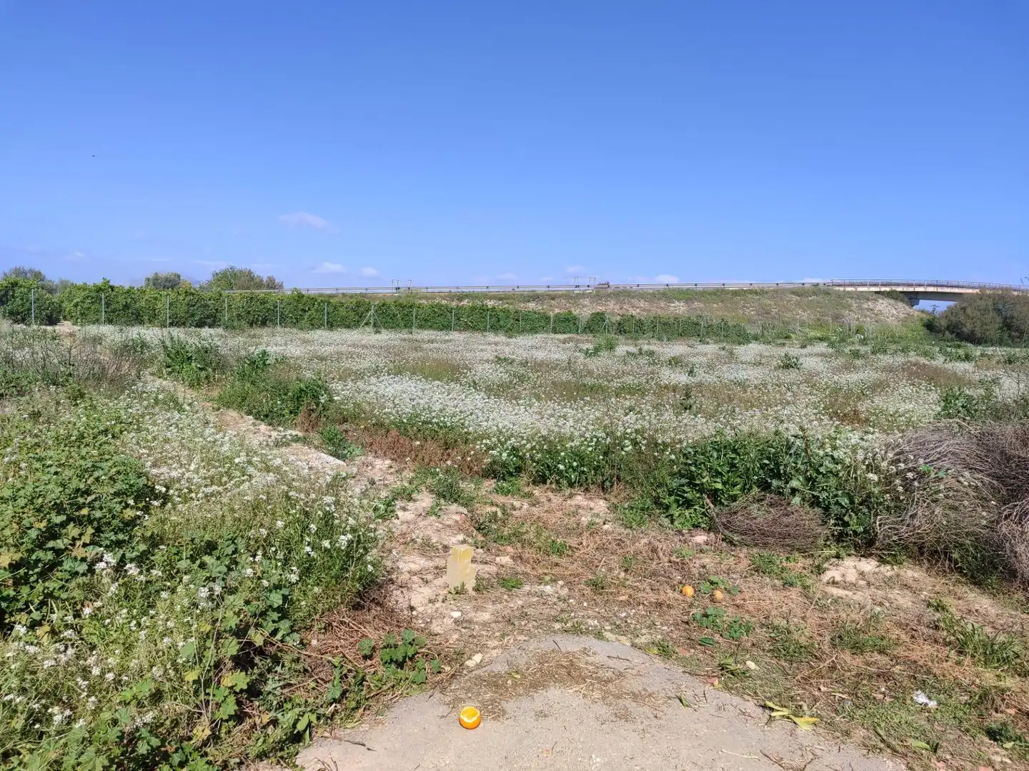 Terreno rústico en venta en Formentera del Segura, imagen 2