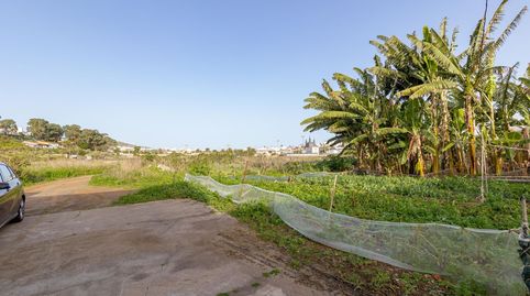 Foto 5 de Residencial en venta en Arucas Casco, Arucas