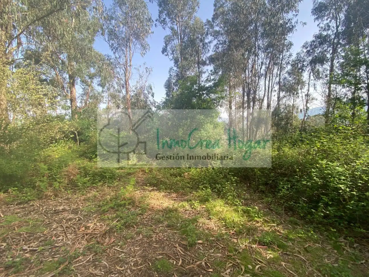 Terreny rústic en venda a Salvaterra de Miño