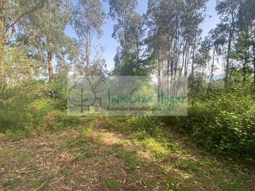 Terreny rústic en venda a Salvaterra de Miño