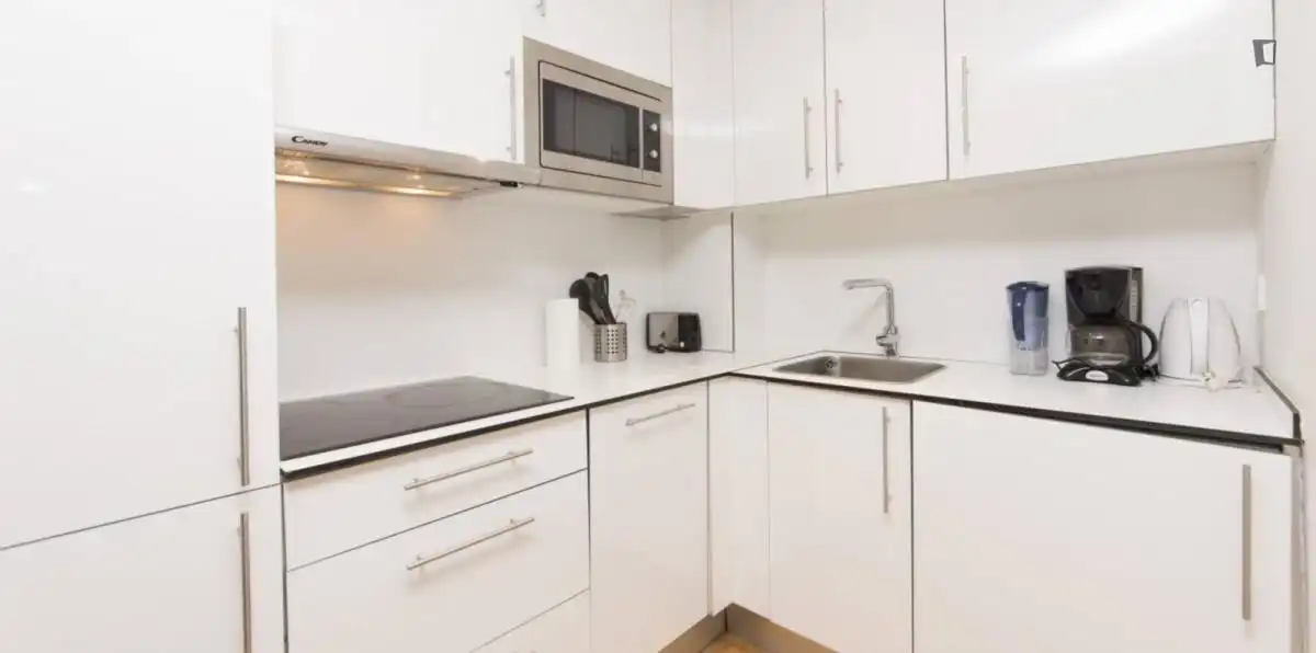 Apartments for rent in Guindalera