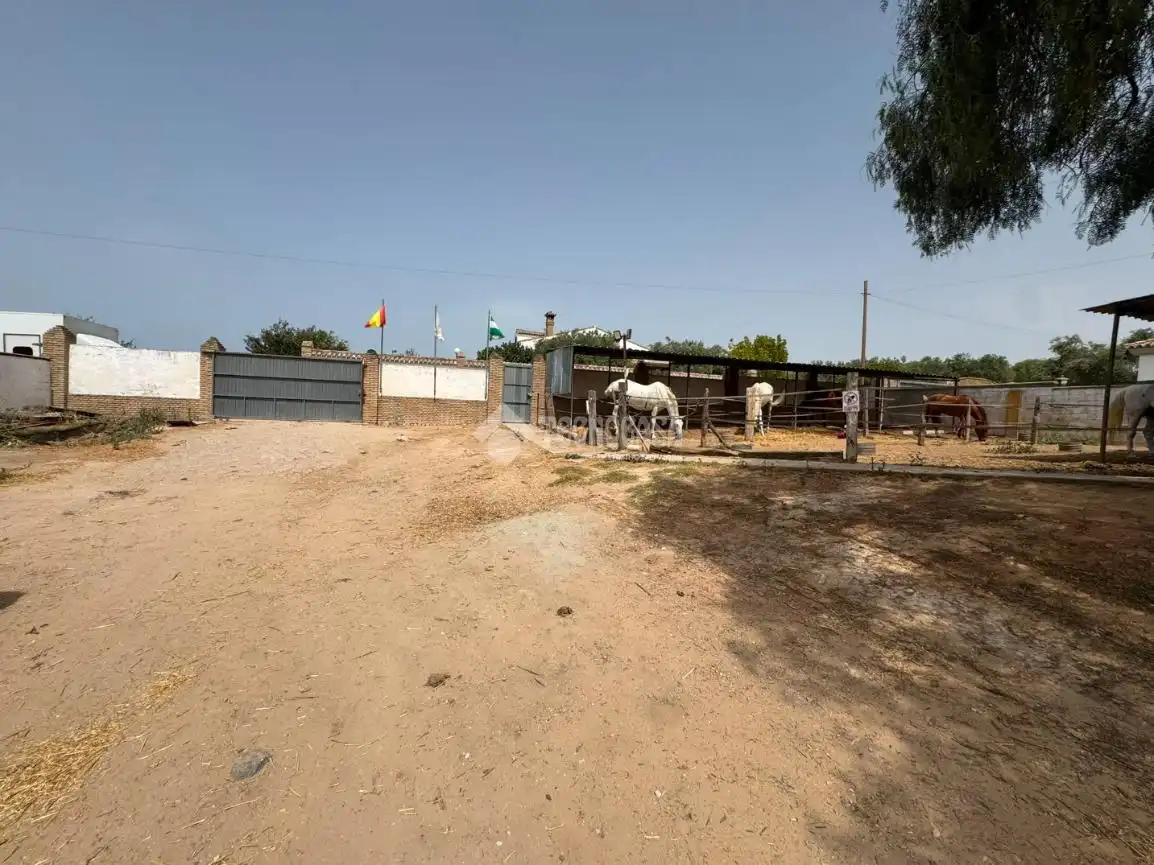 Casa rústica amb jardí en venda a Ctra Sanlúcar - Cuatro Pinos, imagen 20
