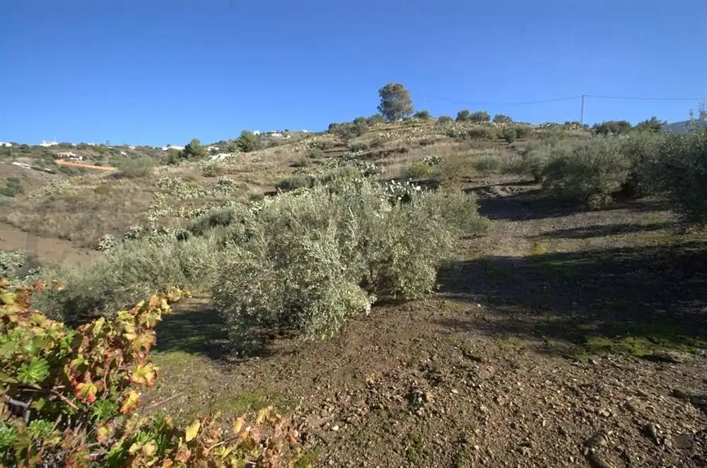 Casa en venda a Torrox Pueblo, imagen 6