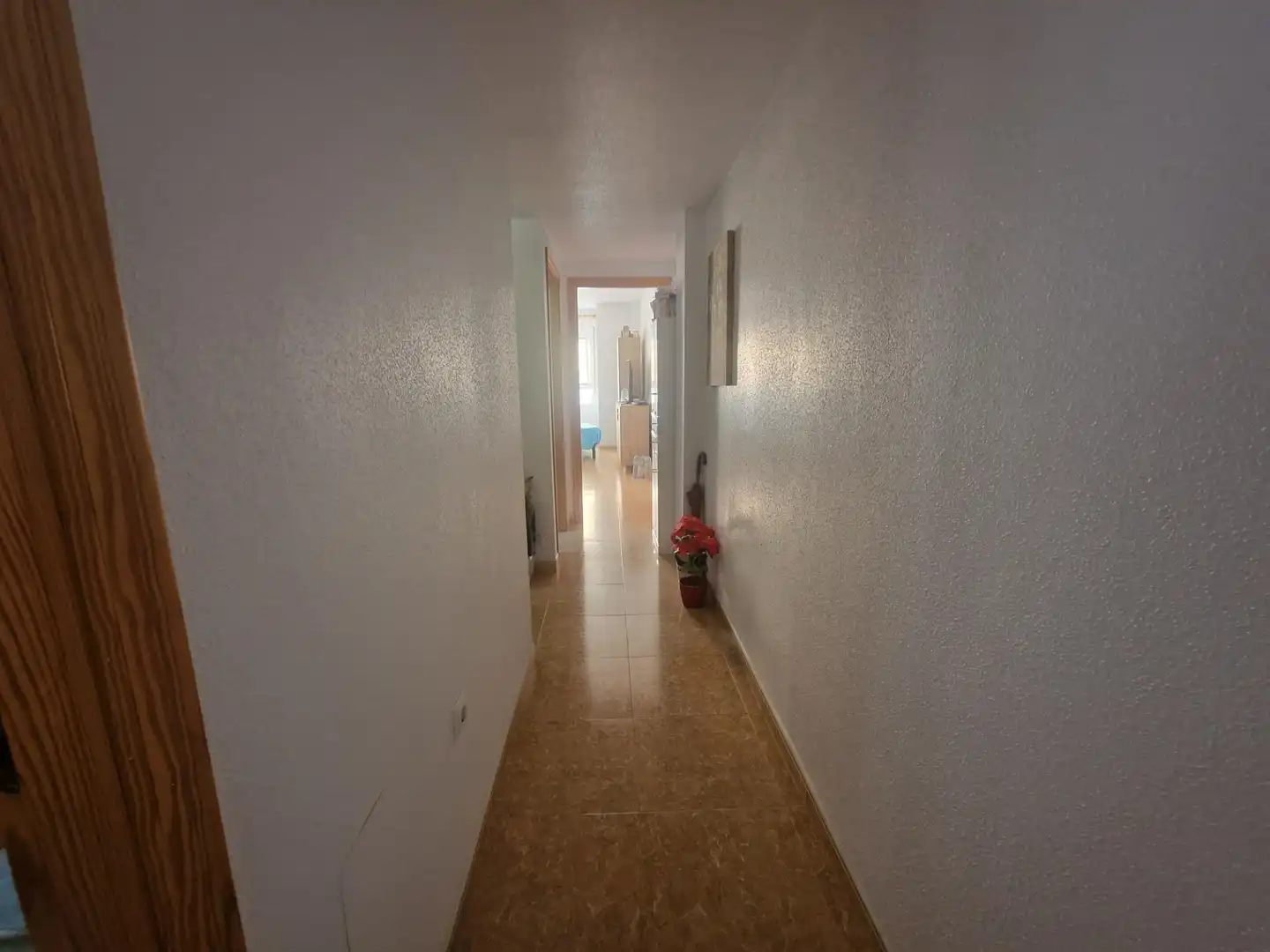 Apartamento en venta en Casco Antiguo