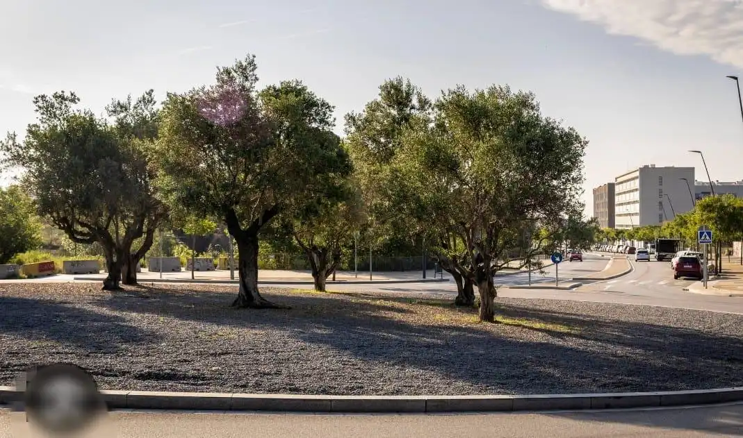Terrenos y solares en venta en Nord-oest, imagen 6