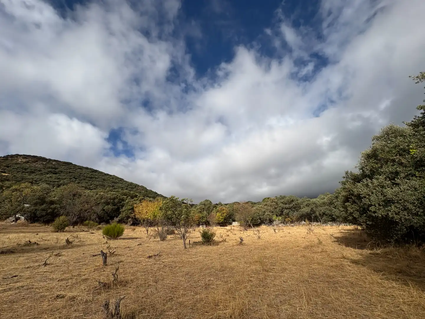 Country homes for sale in Cenicientos