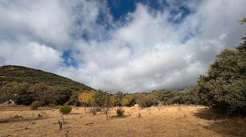 Foto 4 de Finca rústica en venda a Cenicientos, Madrid