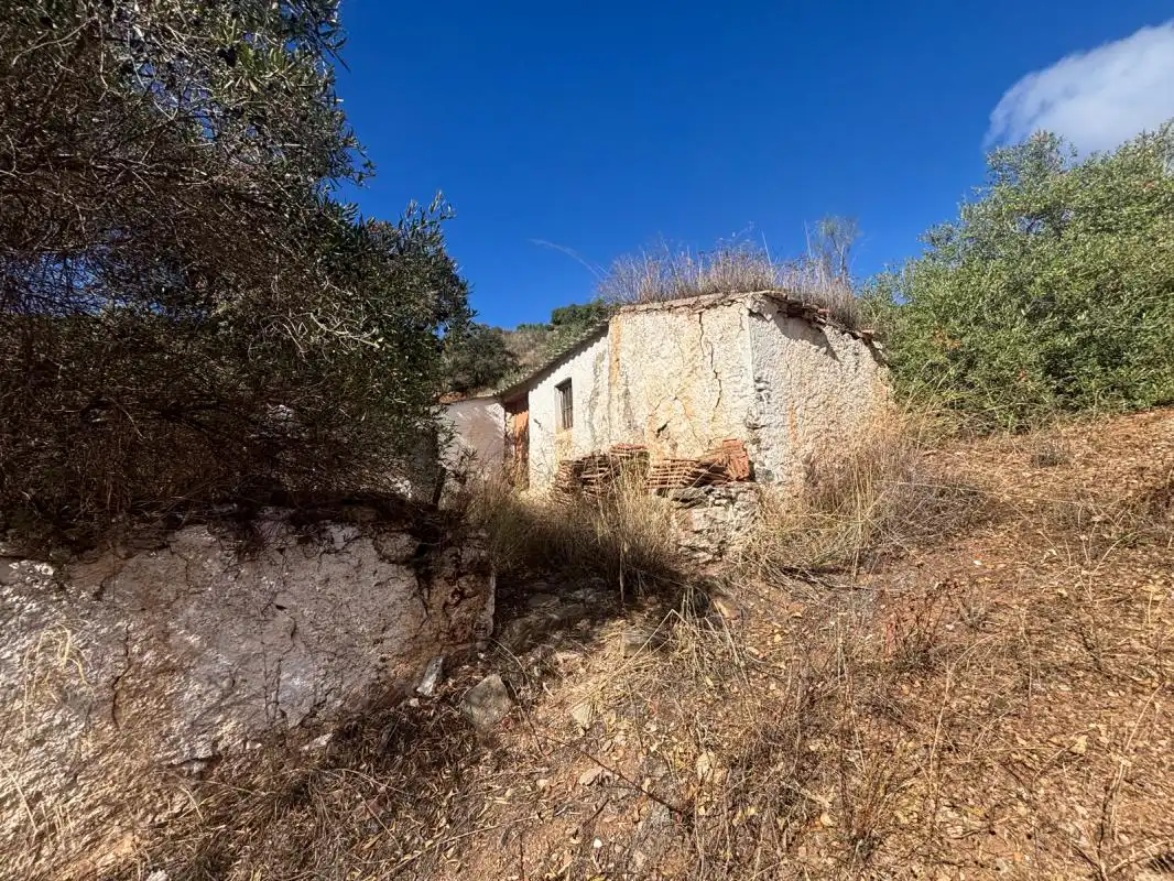 Finca rústica en venta en Polígono 23 Parcela 90 LAS FUENTES. ALMOGIA (MÁLAG, Almogía