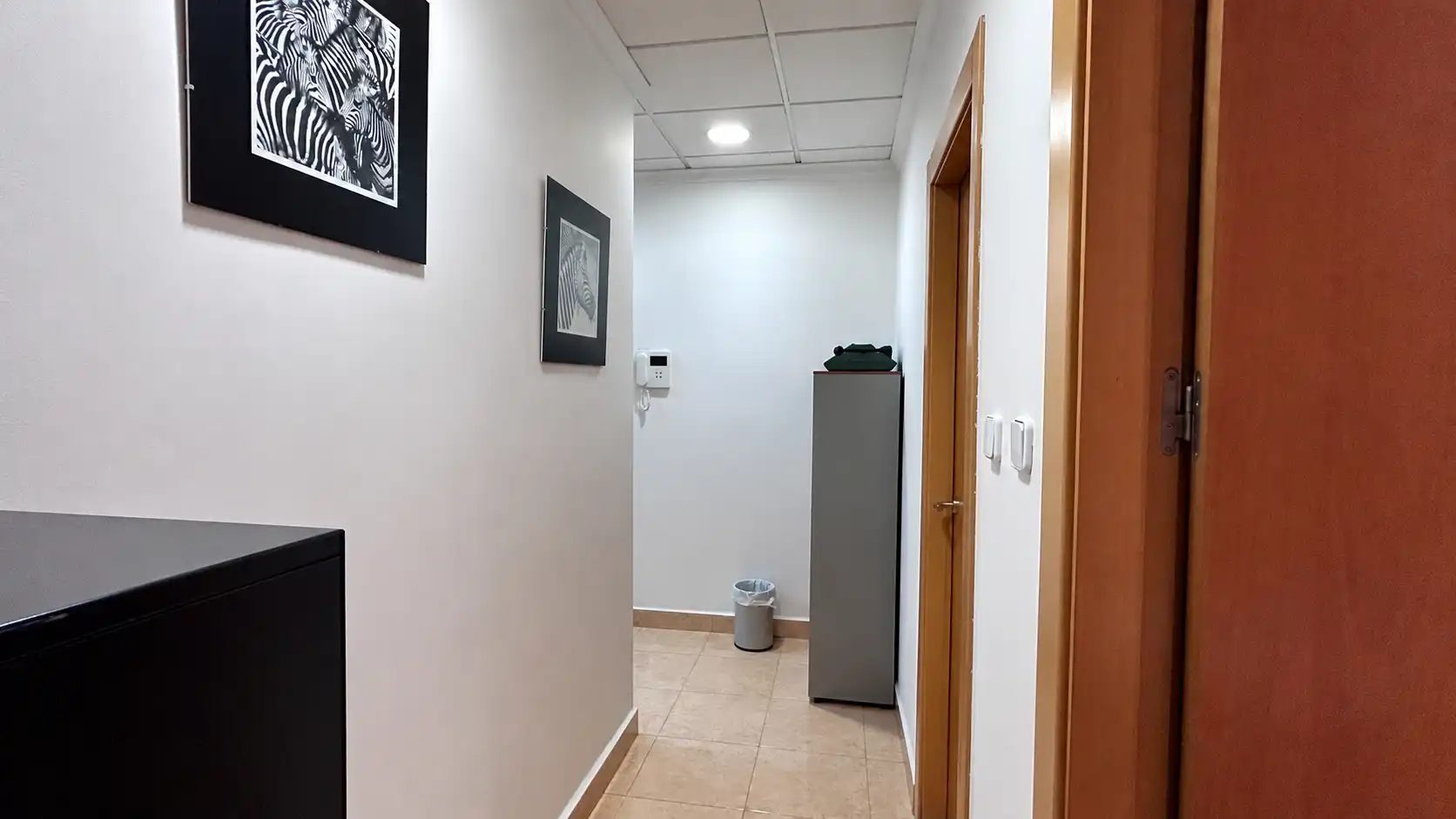 Local comercial en venta en Avenida Río Segura 2, imagen 11