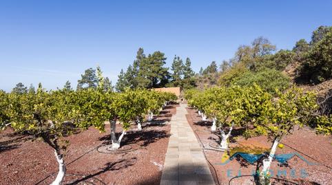 Photo 4 of Country house for sale in Calle Boca Tauce (chio), Chío, Guía de Isora