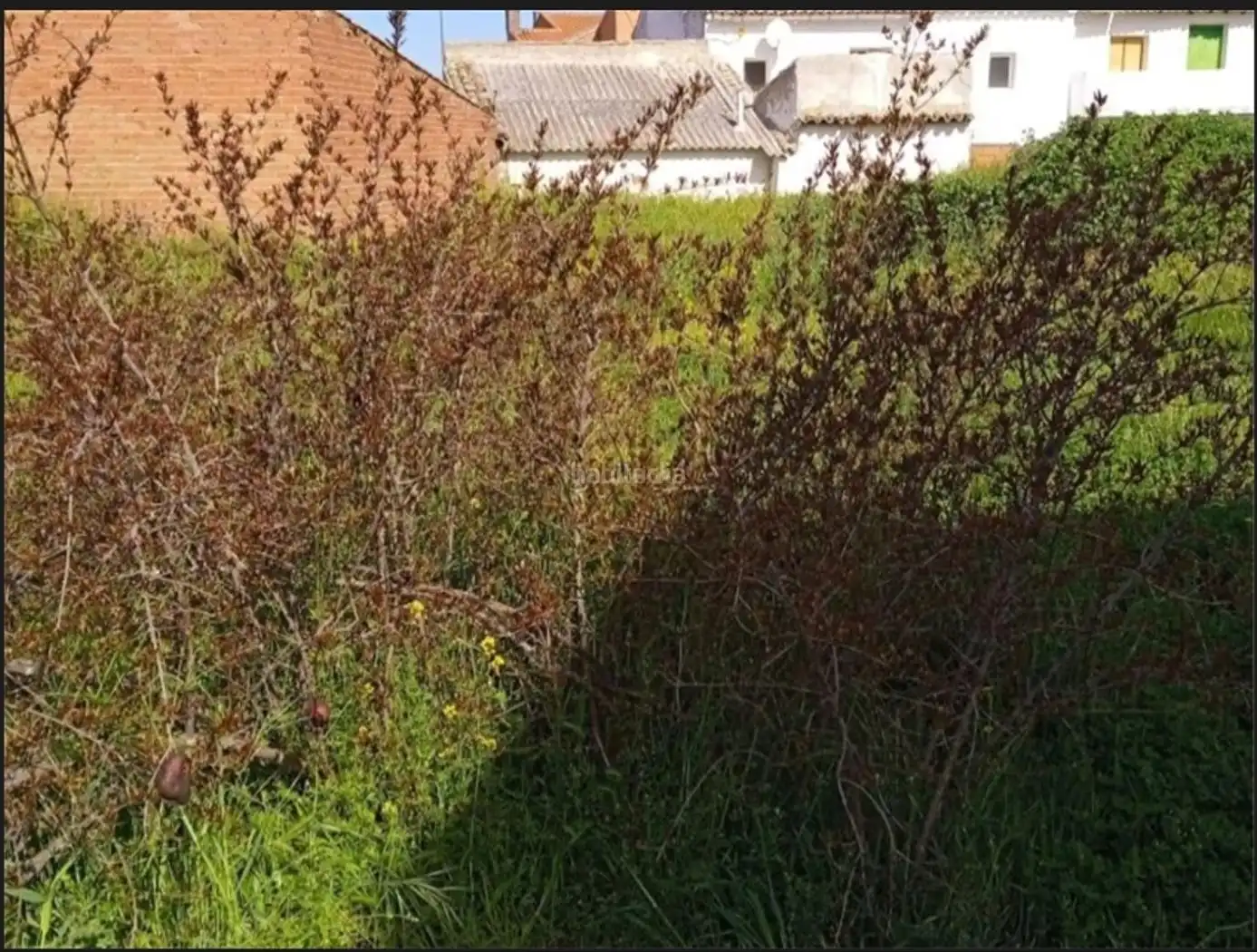 Residential land for sale in Calle Cuatro Calles 8, imagen 4
