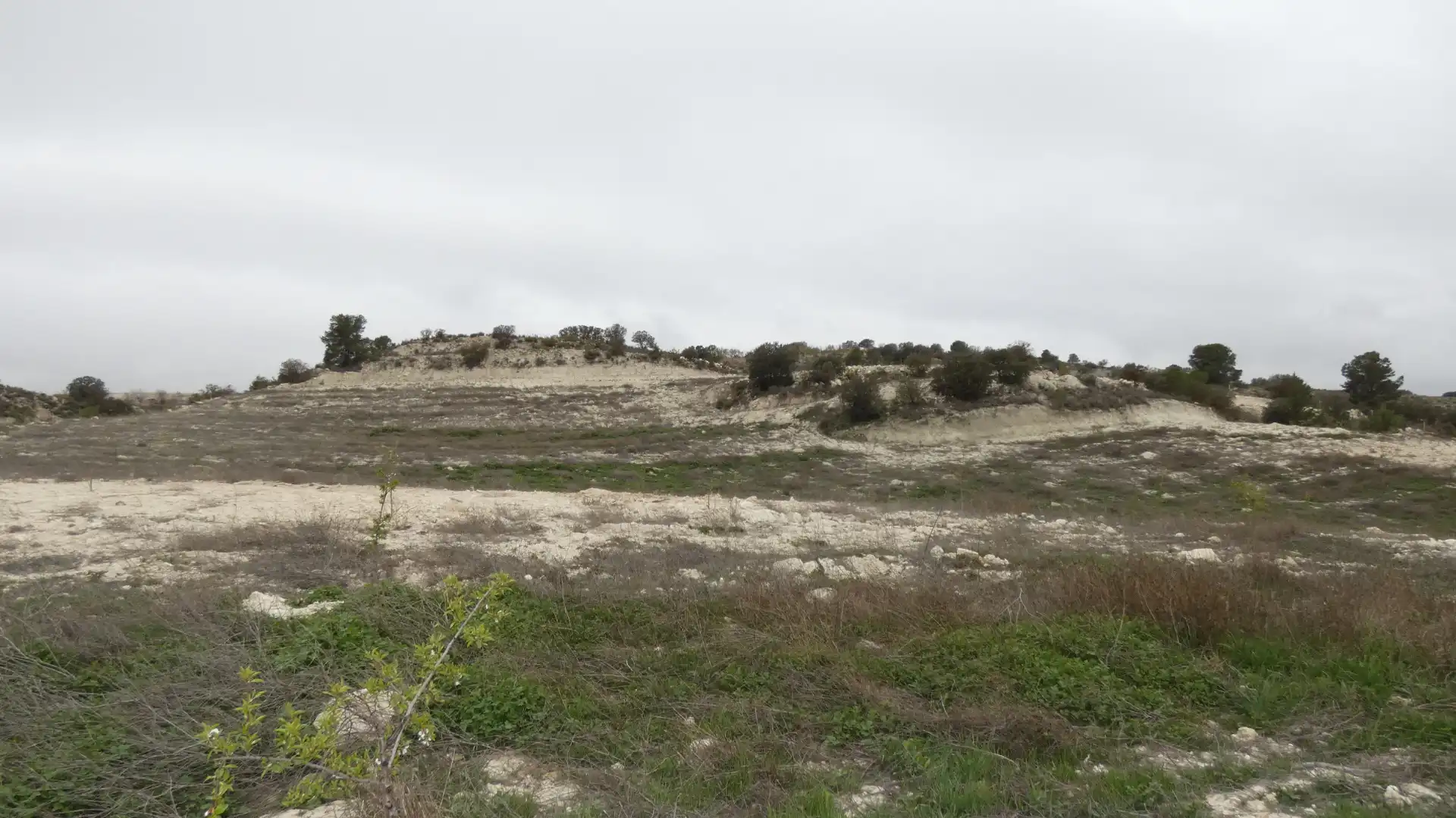 Terreno en venta en María