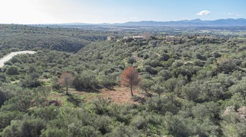 Foto 4 de Residencial en venta en Son Gual Ii-g(no Oficial), 18, Son Gual, Palma de Mallorca