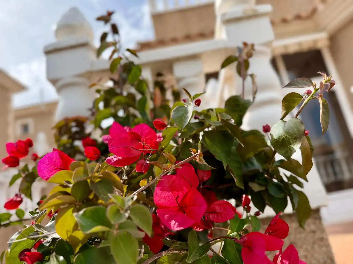 Jardí de Casa o xalet en venda en Torrevieja amb Aire condicionat, Jardí privat i Terrassa