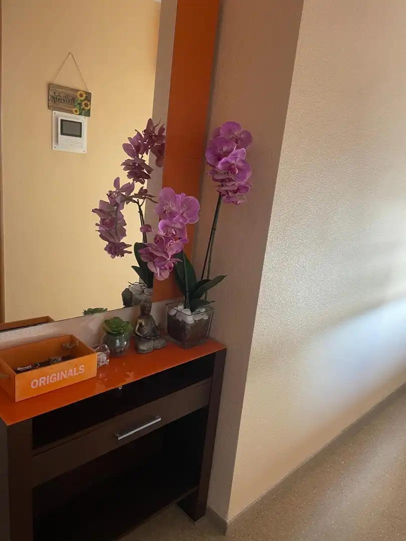 Flat with lift to rent in Novelda, imagen 13
