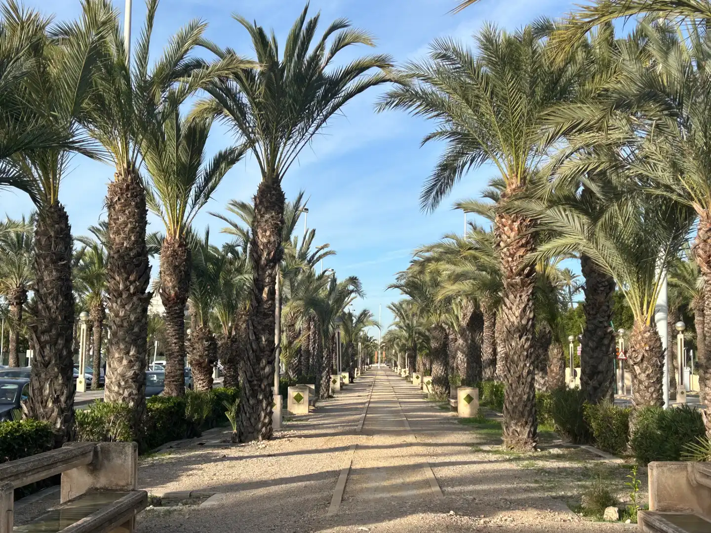 Vista exterior de Residencial en venta en Elche / Elx