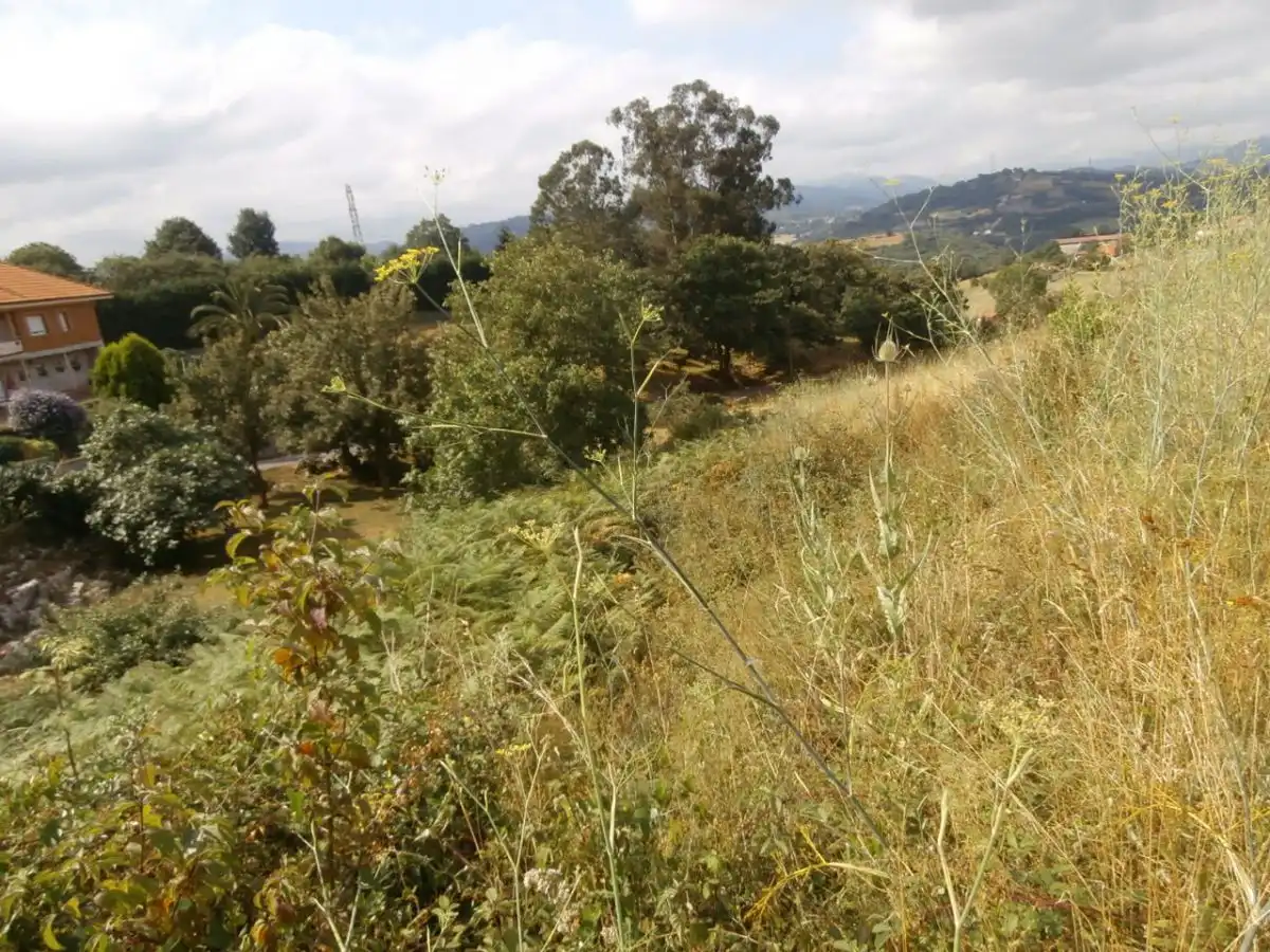 Terreny residencial en venda a Las Regueras, imagen 4