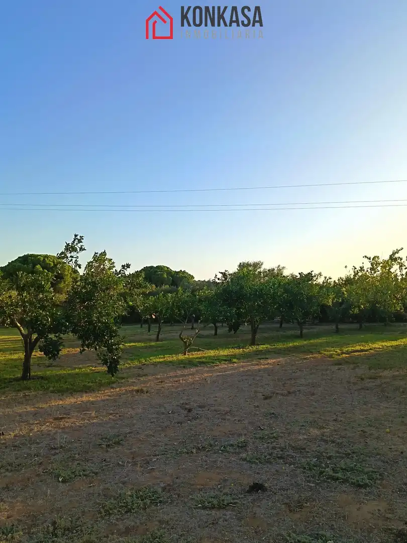 Casa rústica amb piscina en venda a Arcos de la Frontera, imagen 30