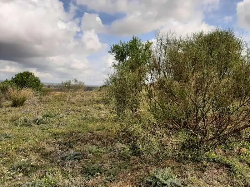 Terreni e lotti in vendita a GOLF DEL GUADIANA, imagen 14