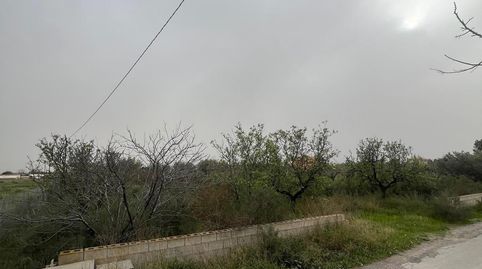 Foto 2 von Grundstücke zum Verkauf in La Algoda - Matola - Llano de San José, Elche / Elx