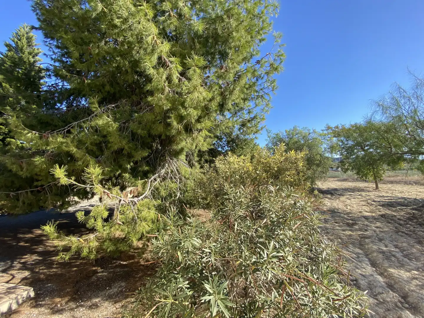 Villa avec terrasse à vendre à Calle Sierra Salinas, imagen 21