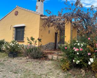 House or chalet to rent in Calle Manuel Dovado, 2, Cortijo de Maza - Finca Monsalvez - El Olivar