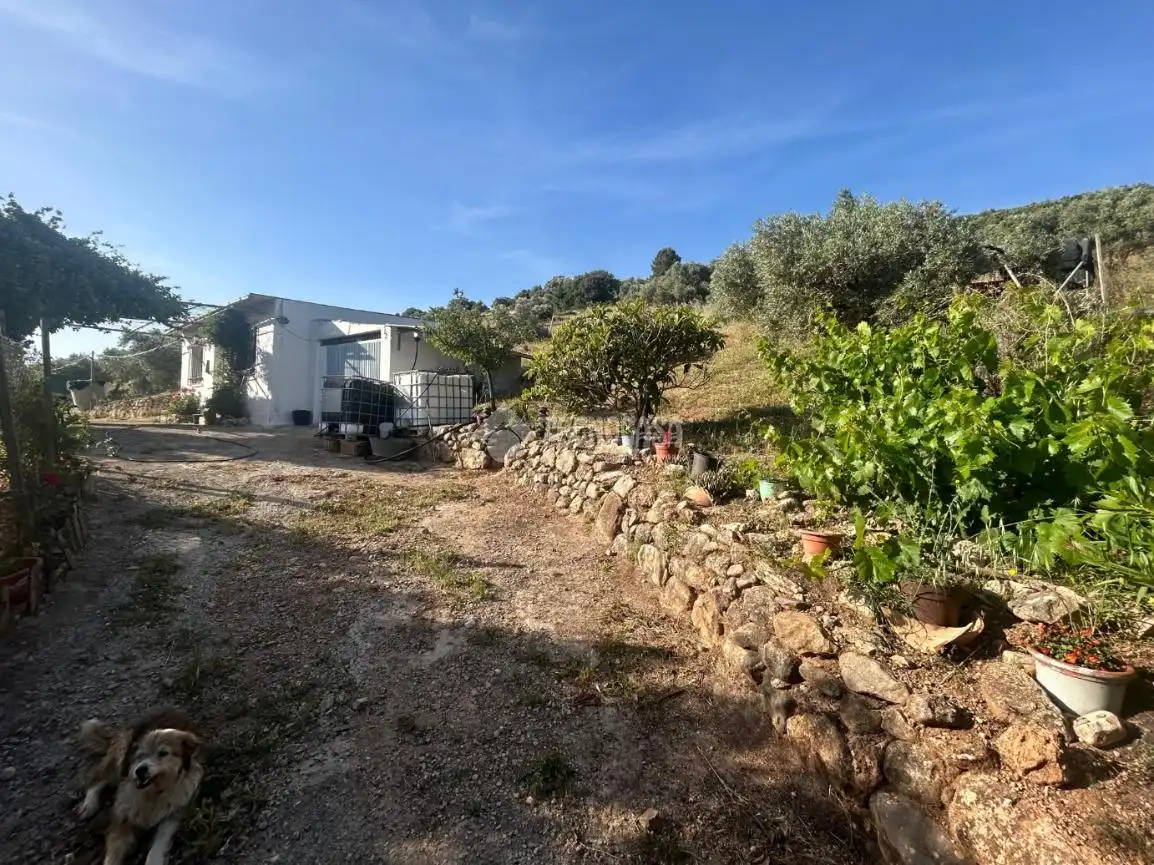 Finca rústica en venta en Antequera
