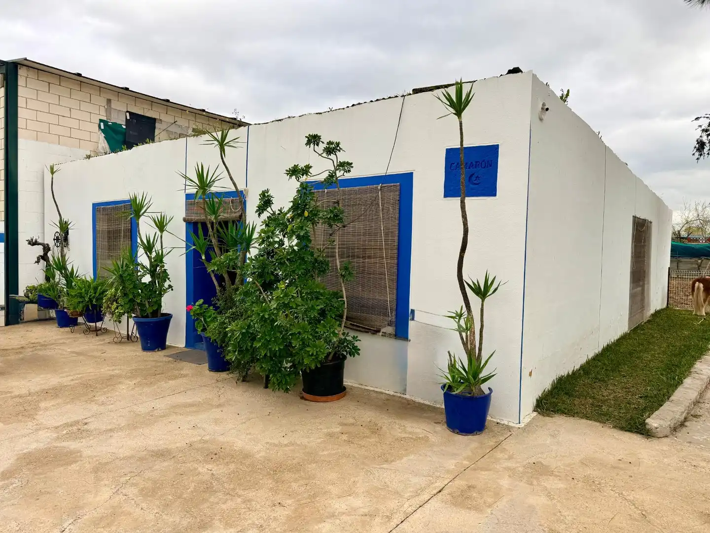 Vista exterior de Casa o chalet en venta en Carmona con Aire acondicionado, Jardín privado y Trastero
