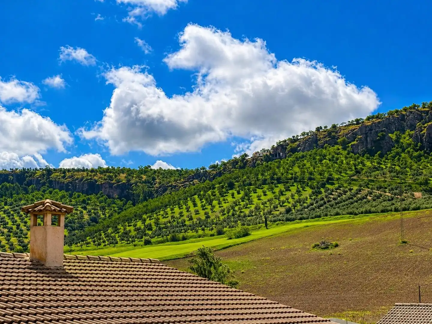 Finca rústica en venta en Píñar con Terraza