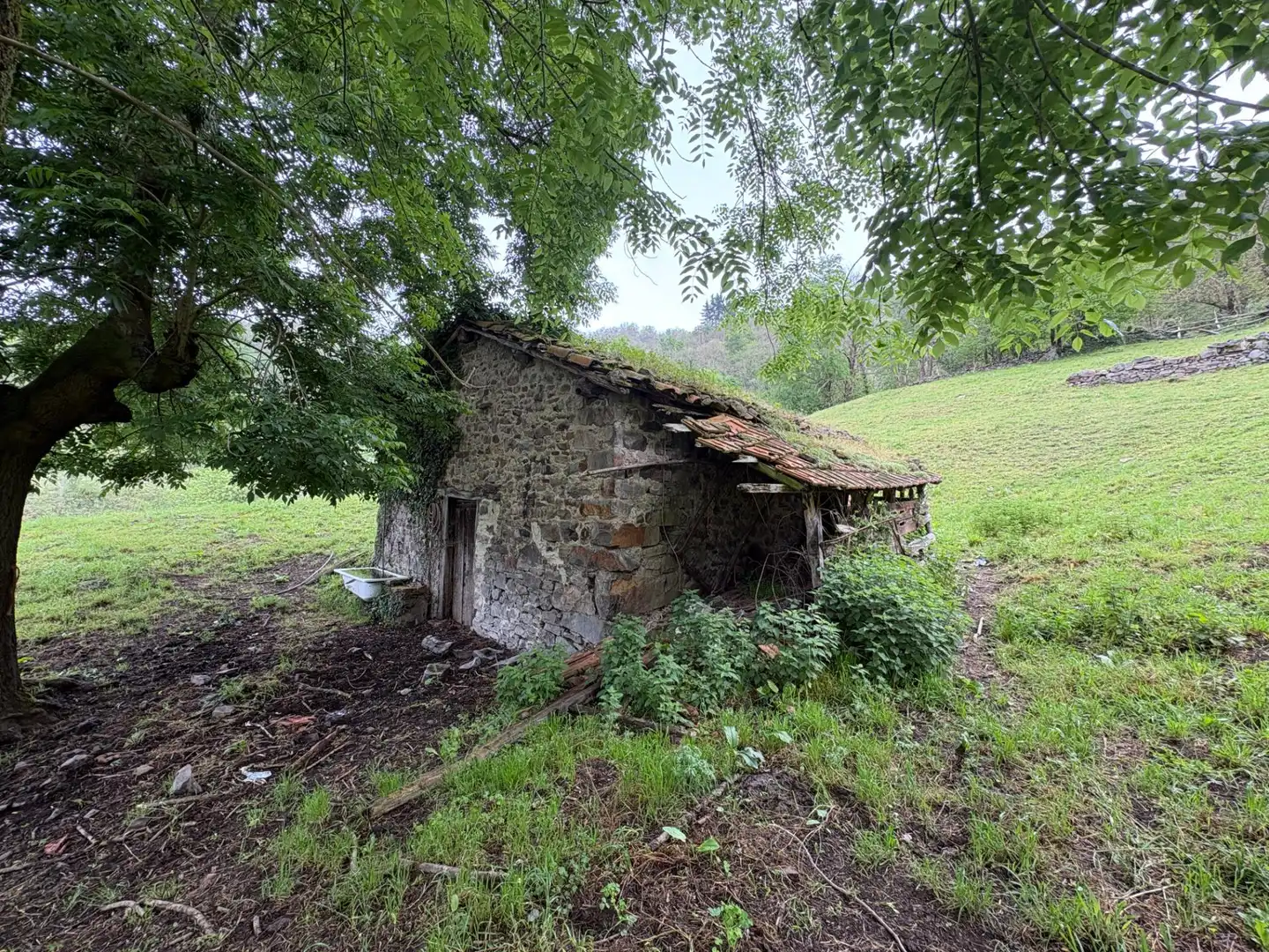 Vista exterior de Casa o chalet en venta en Aller con Jardín privado