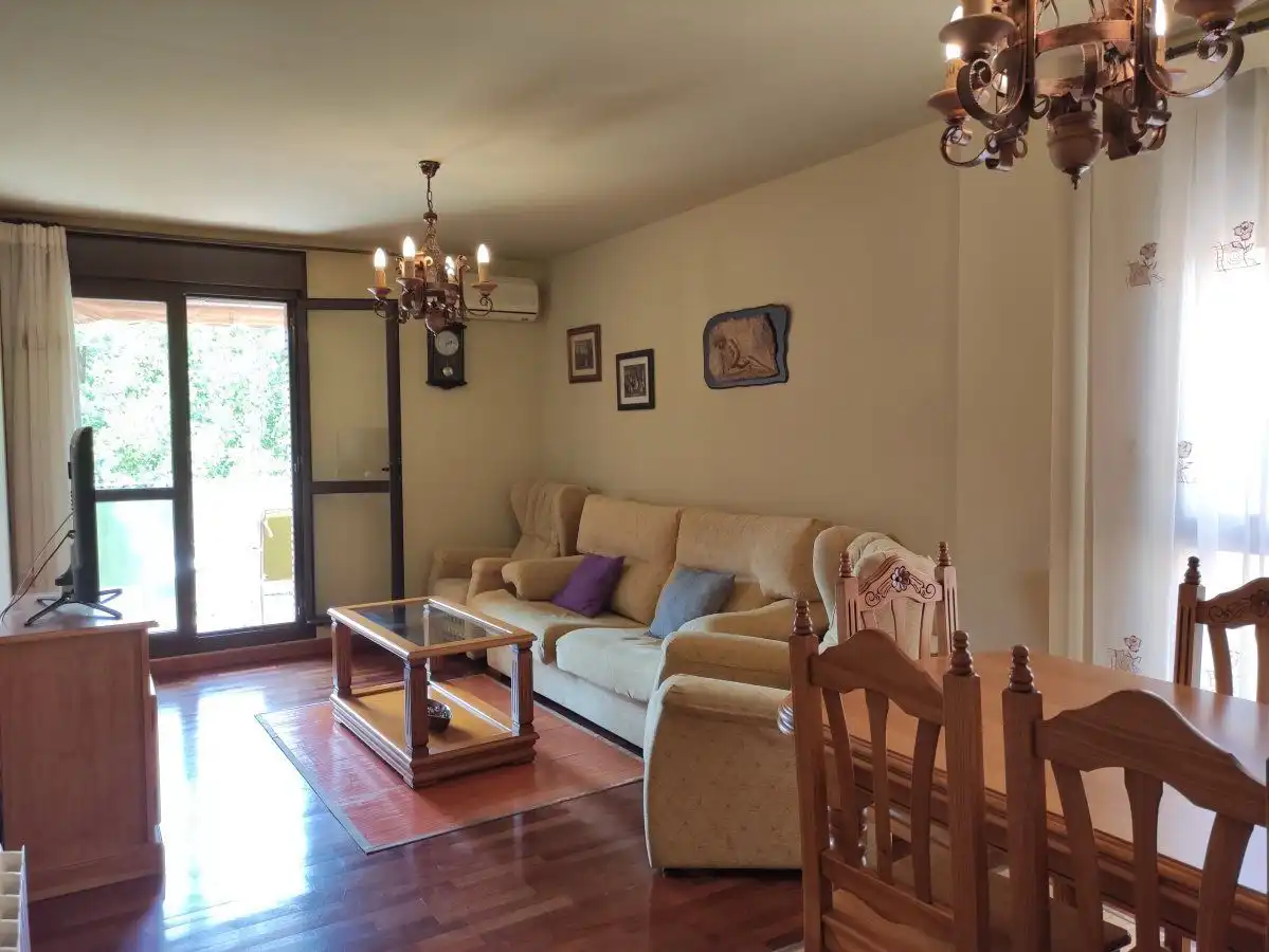 Sala d'estar de Pis en venda en Boltaña amb Calefacció, Parquet i Terrassa