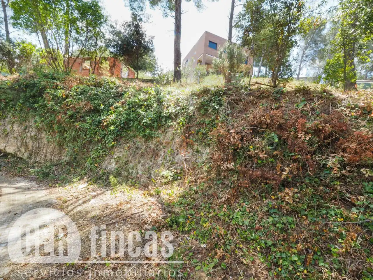 Rural land for sale in Calle Josefa Comellas, imagen 11
